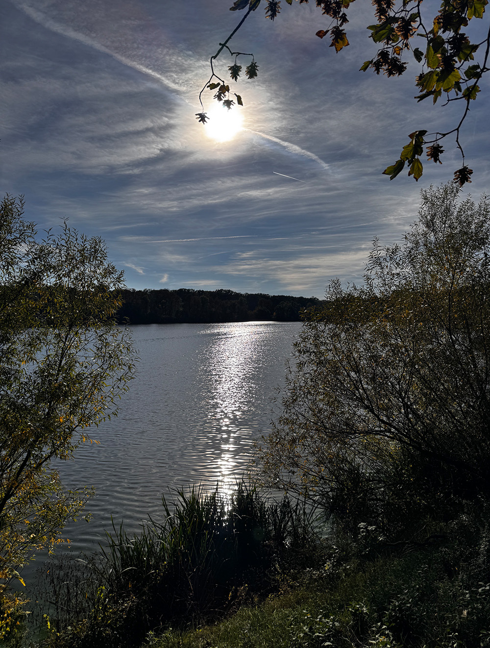 Auensee Leipzig